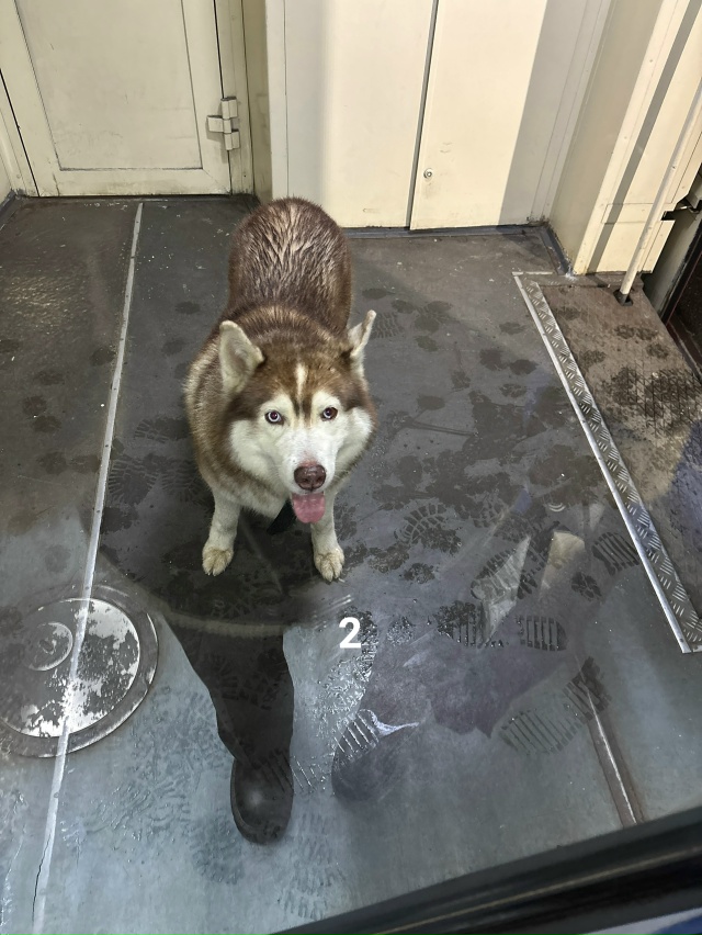 #ПотерялиНашлиПомогите
1 Найдены ключи с брелком.
2 Ч?...