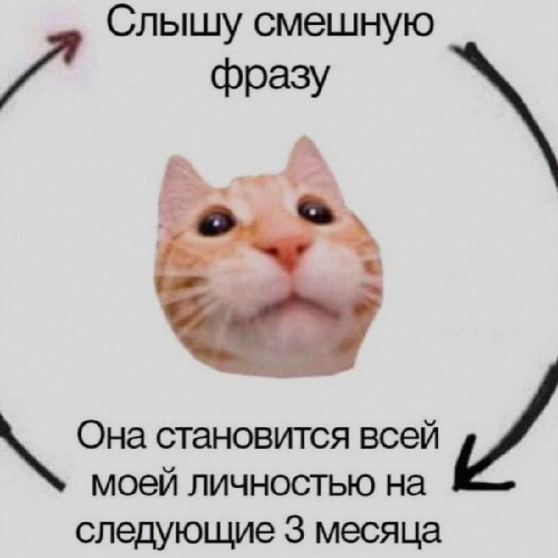 Ночная подборочка
Спать, режим