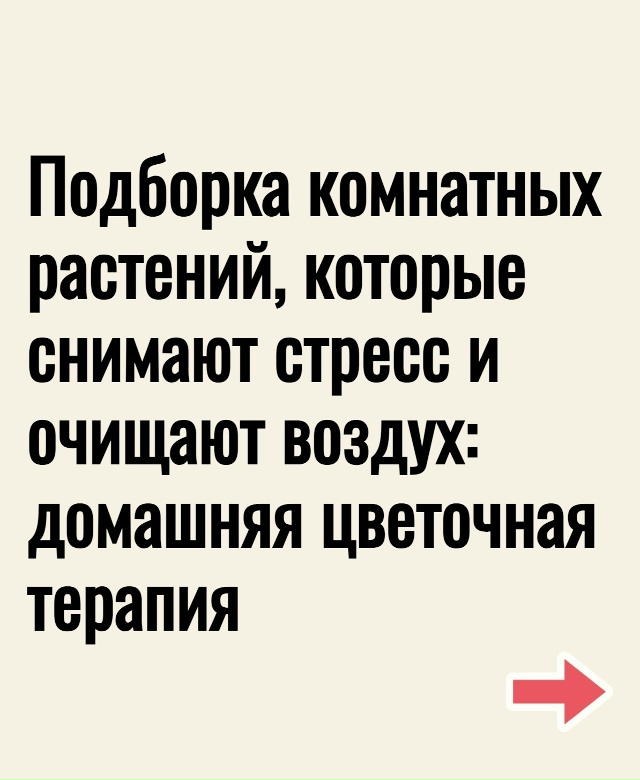 Комнатные растения — это не просто элемент декора, но ?...
