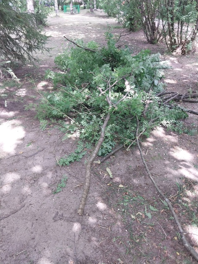 Благоустройство в Никольске
Сотрудники Никольской у...