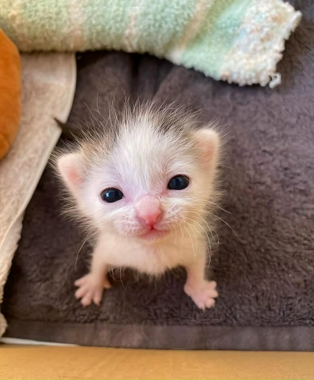 Объясните свою маленькость