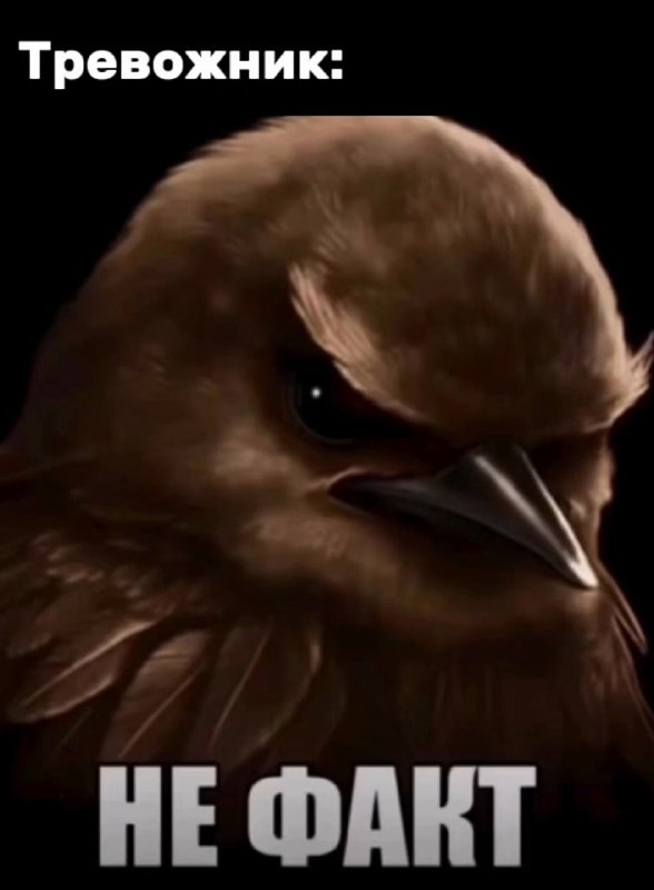 врач: «в ваших анализах все хорошо, вы здоровы»