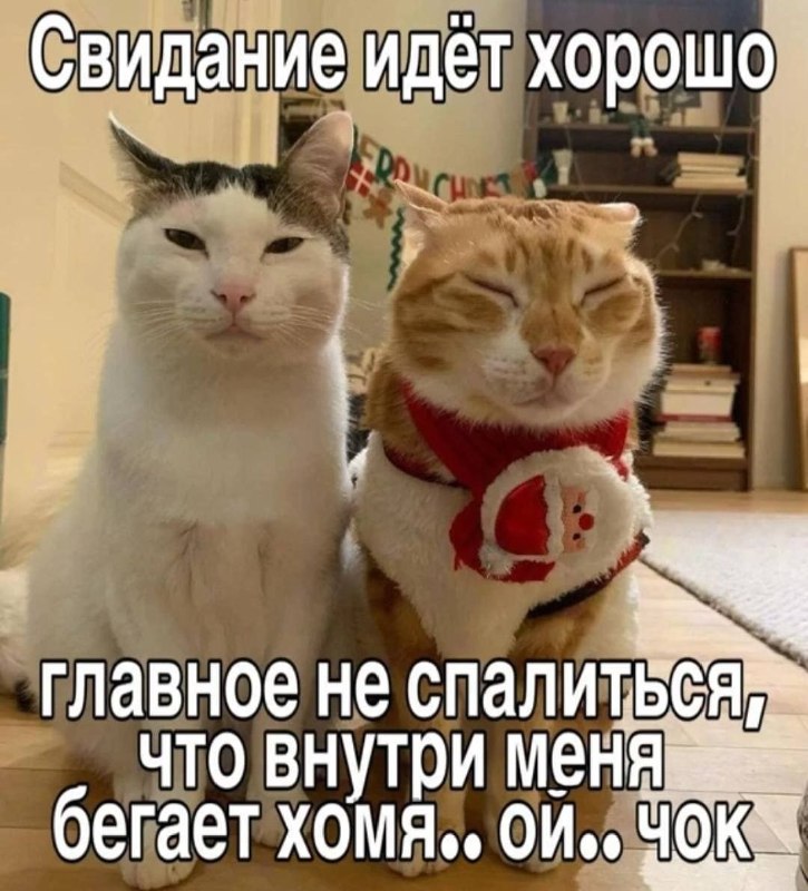 Утренняя подборочка