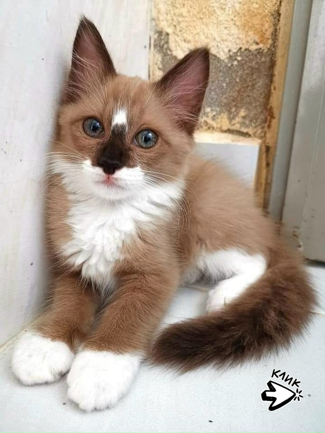 Кофе с молочком😍