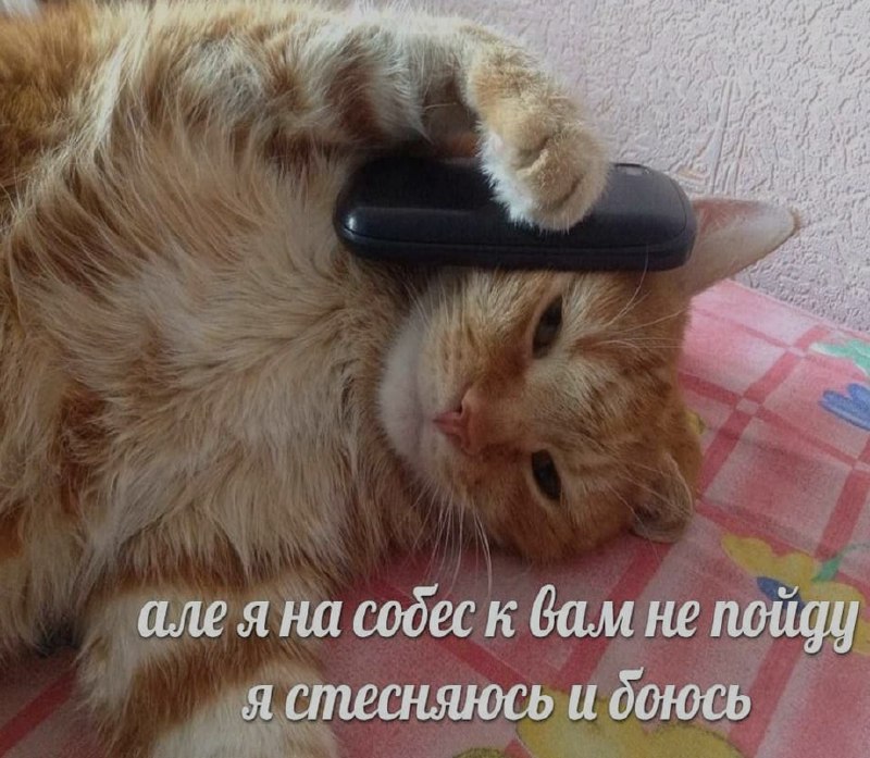 Ночная подборочка
Спать, режим