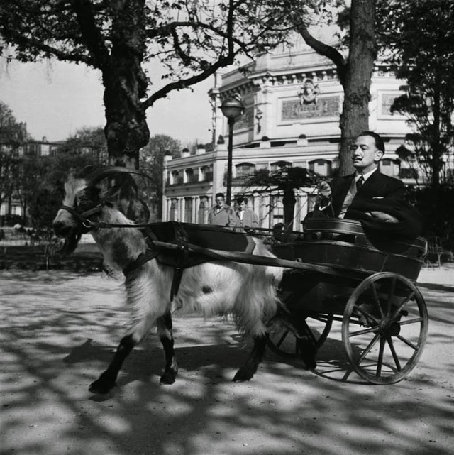 Caльвадор Дaли на козлиной карете, 1953 гoд.