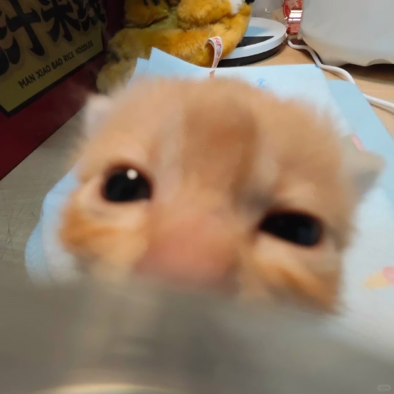 Вы только что были пососаны