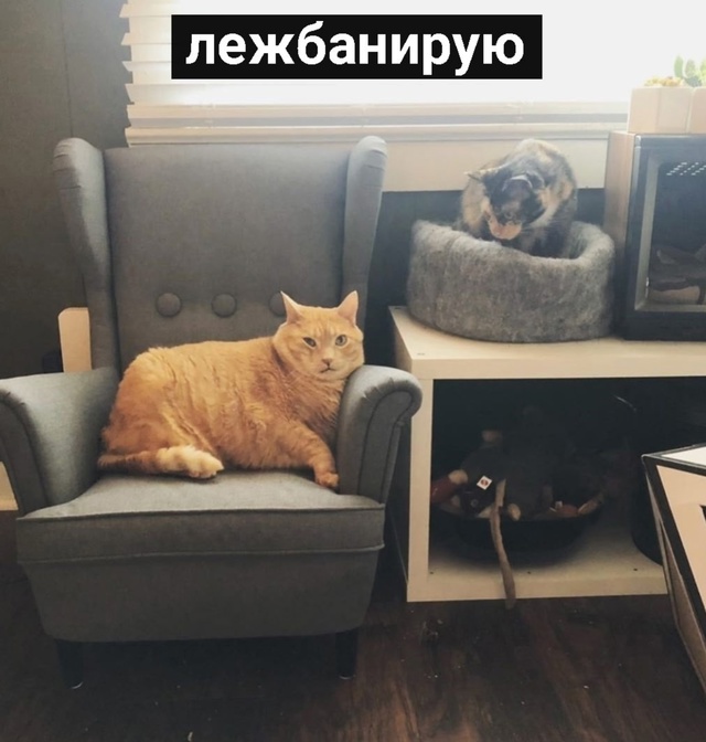 Просто я в свой выходной: