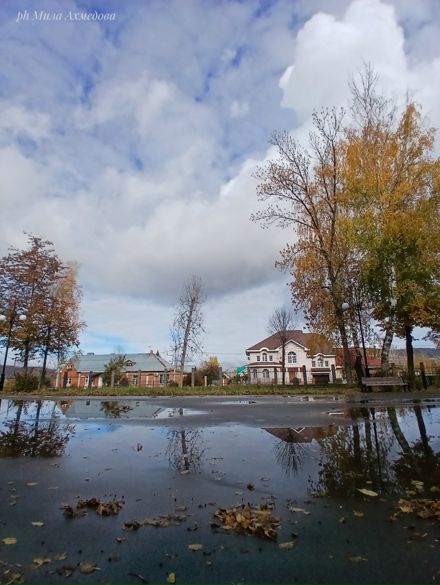 Больничный осенний октябрьский парк.
Отражение дер...