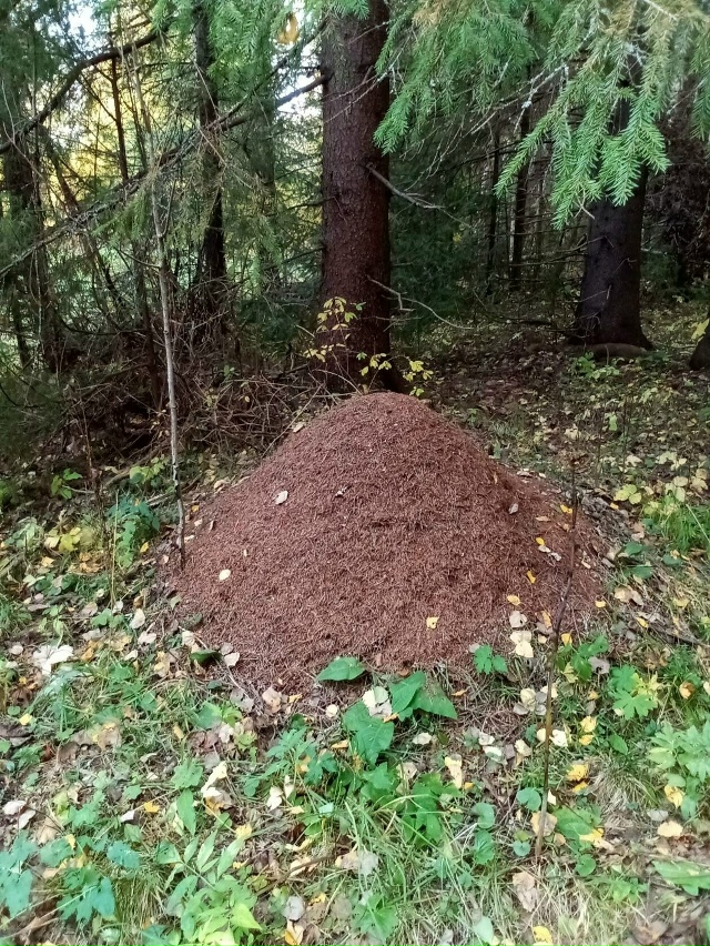 Доброй ночи, Никольск❤