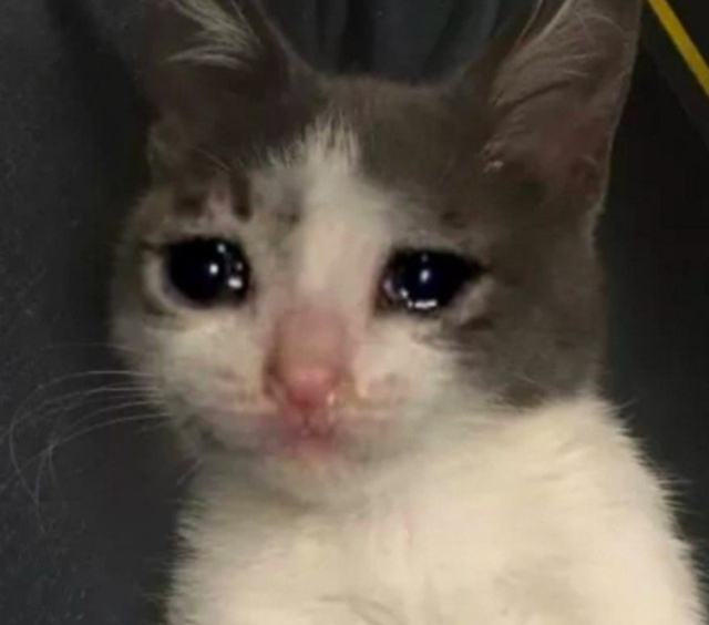 Блин как же грустно