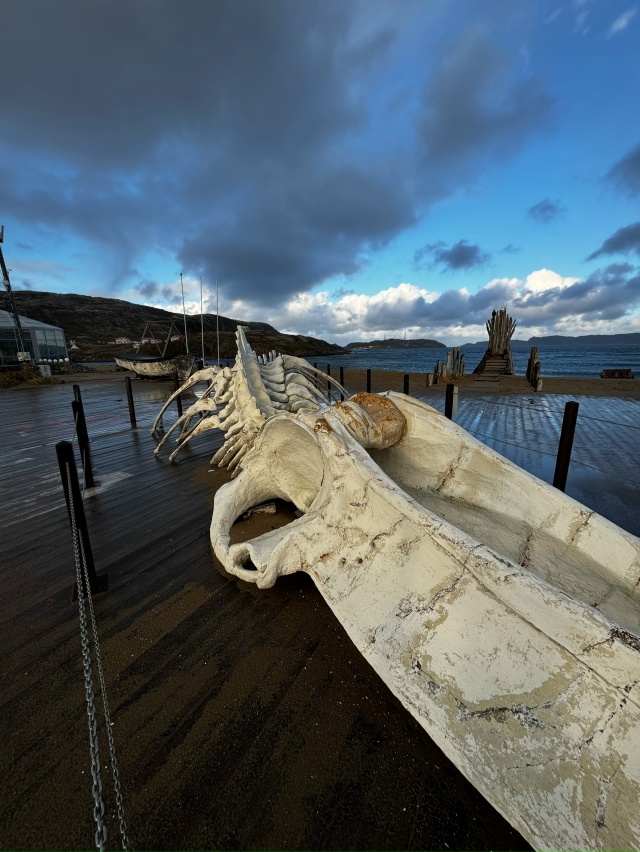 👋 Привет Бузулук, с Кольского полуострова