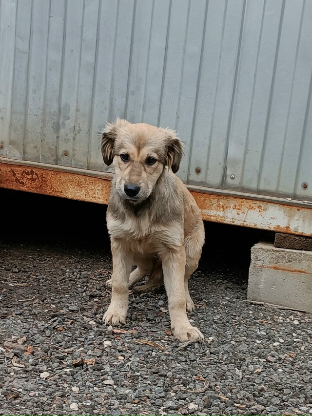Москва, Тушино.
Срочно нужен дом!?
Хотя бы временный.
...