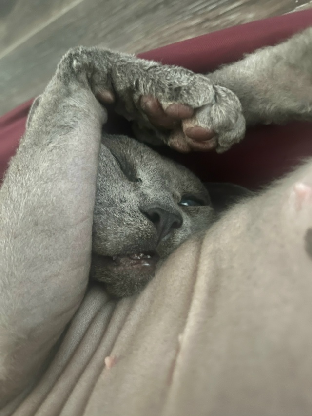 🥰