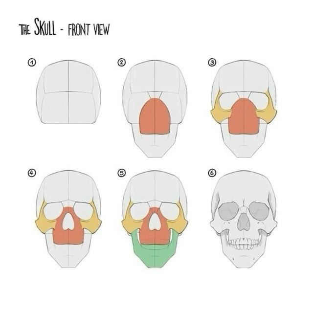 Голова
Sketch
Tutorial