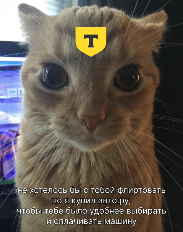 Авто.ру станет частью экосистемы Т для автомобилистов
Т-Технологии покупают Авто.ру, чтобы сделать