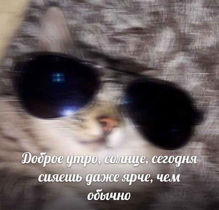 Утренняя подборочка