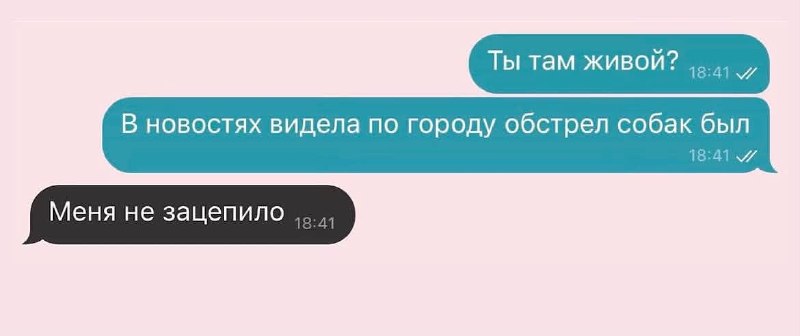 Когда нашла себе хорошего мальчика 😂