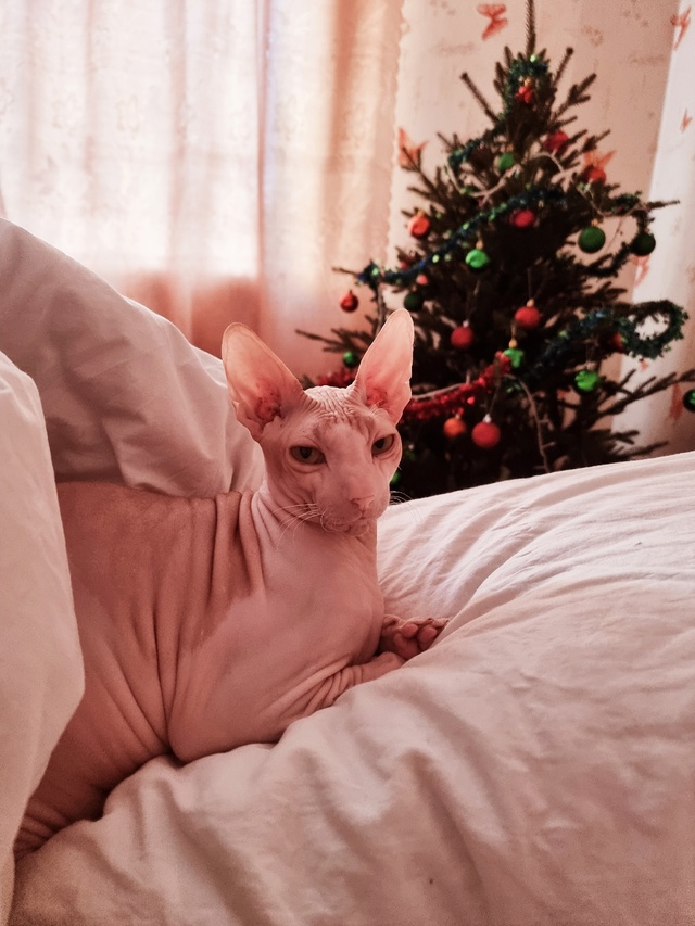 Всем привет! Мы тут новенькие, хотя и давно следим )
Зна?...