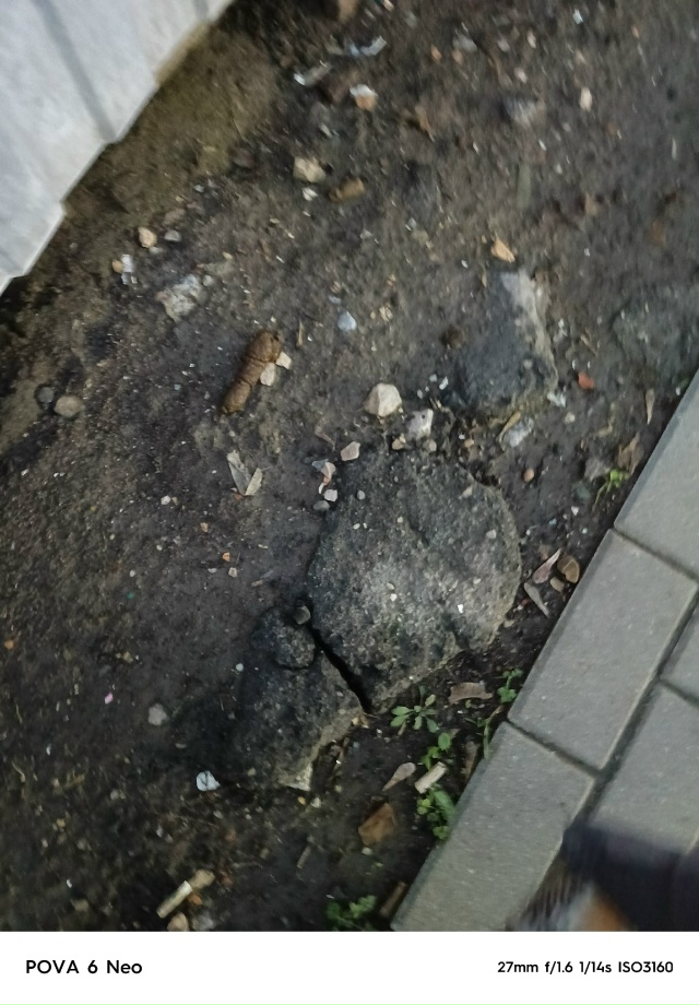 Тула Пузакова 119 загадили дом со всех сторон. Согласно ?...