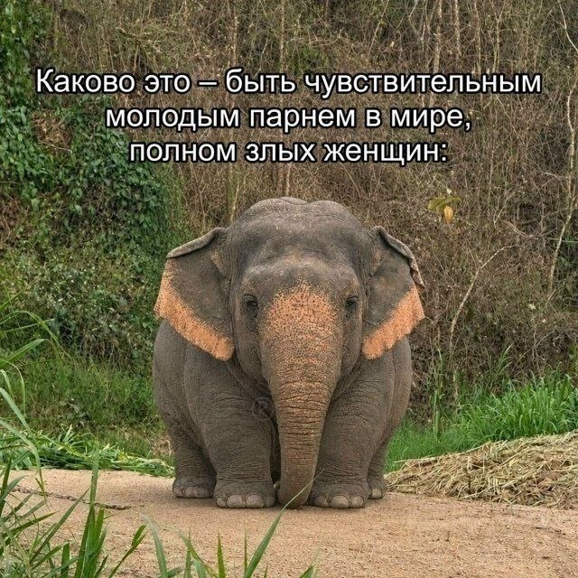 Утренняя подборочка