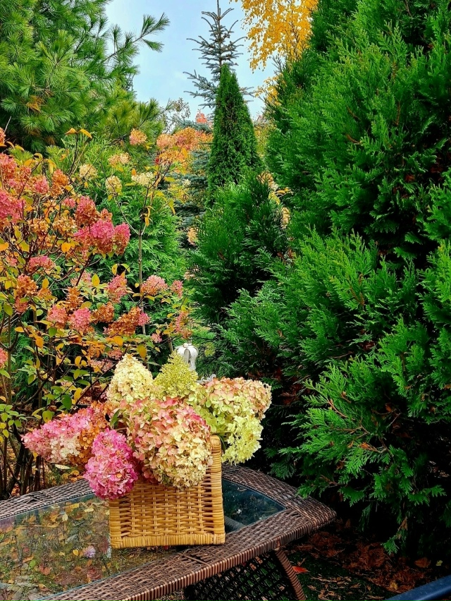 Красивый caд жительницы Перми ?
? Ирина Шершнёва