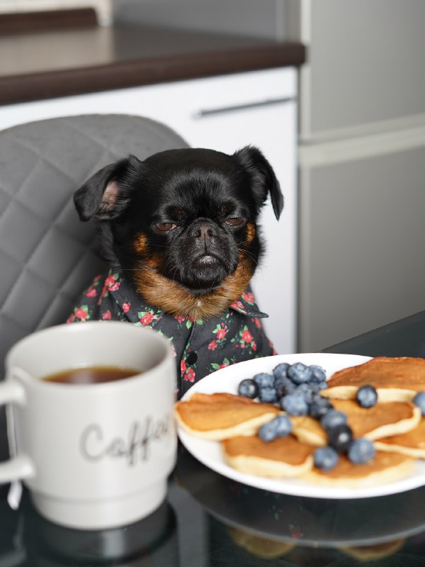 Пёс Чарли с хмурой мордочкой — новая звезда соцсетей
Это же все мы, когда узнали, что впереди рабоч