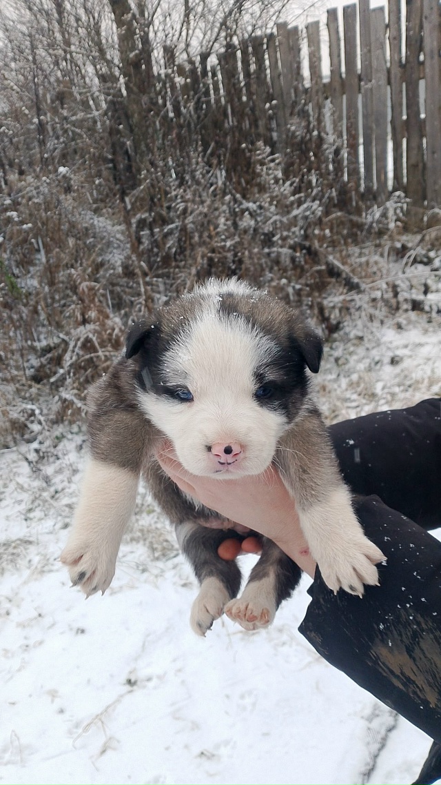 🆘️🆘️🆘️🆘️🆘️🆘️🆘
️Уважаемые жители нашего го?...