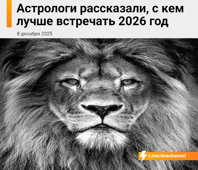Новый 2026 год лучше встречать рядом со Львом — человеком с сильным характером или тем, кто родился