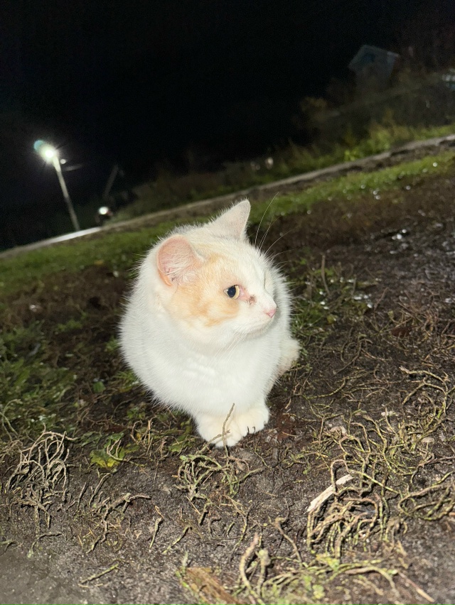 Может кто-то узнает своего друга
Сидит у интерната в г...