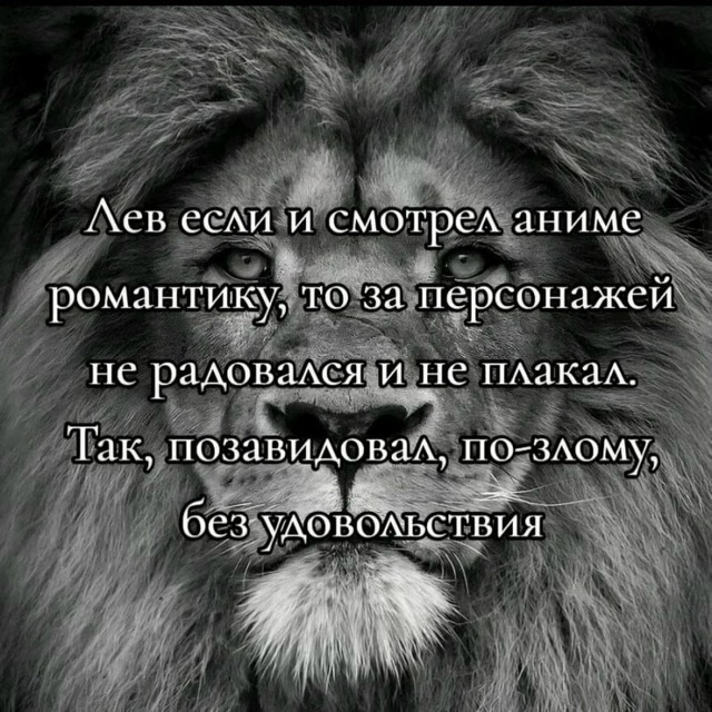 Сегодня отмечается всемирный день льва😼