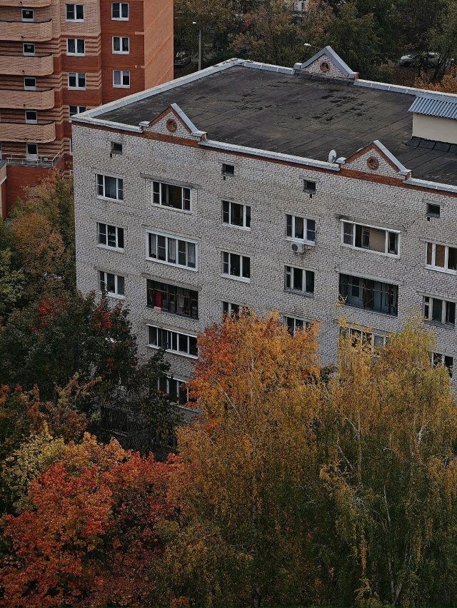 🍂💛🍁