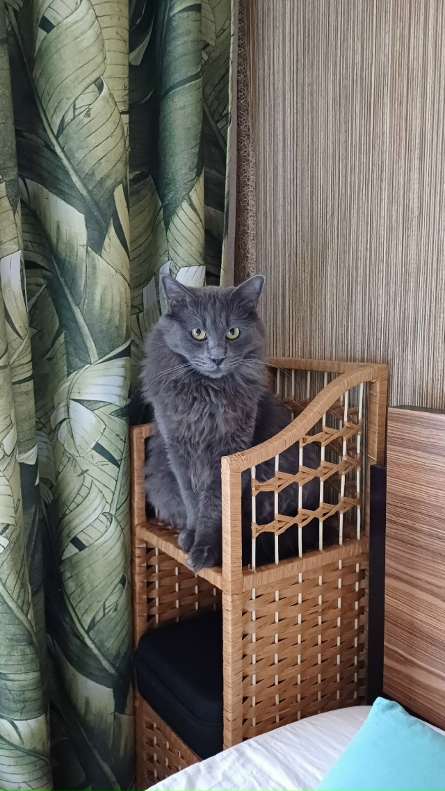 Мжвячная упоротость #Базузу