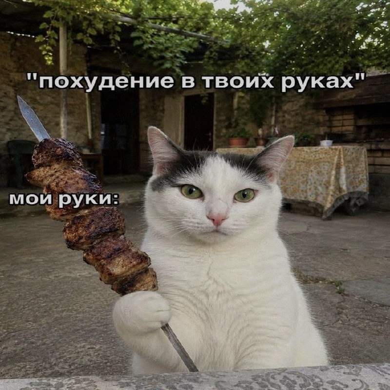 Ночная подборочка
Спать, режим