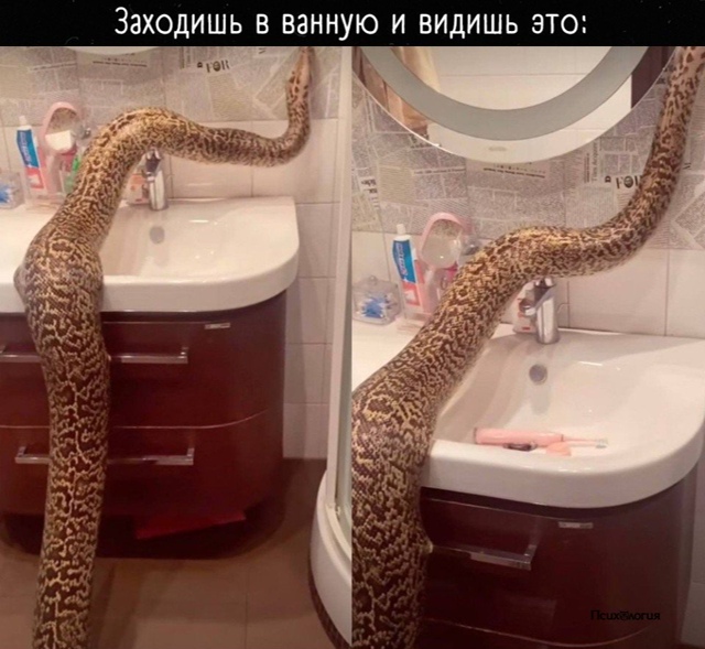 Ваши действия?😅