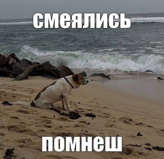 когда подруга снова сошлась с бывшим, и ты теперь не можешь хуесосить его с ней