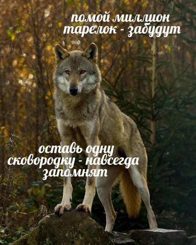 благодарность чувство такое