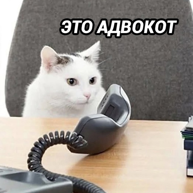 НУ это умышленная подстава