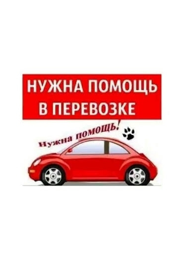 Добрый день !Ребят, просим помощи в транспортировке 3 к?...