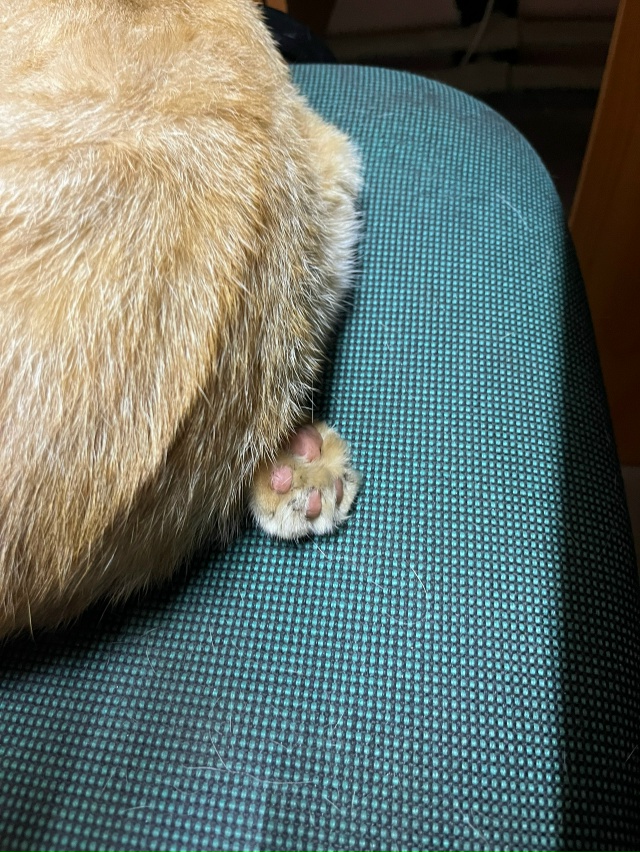 Склад никуда не денется