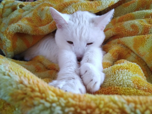 Холодно, однако