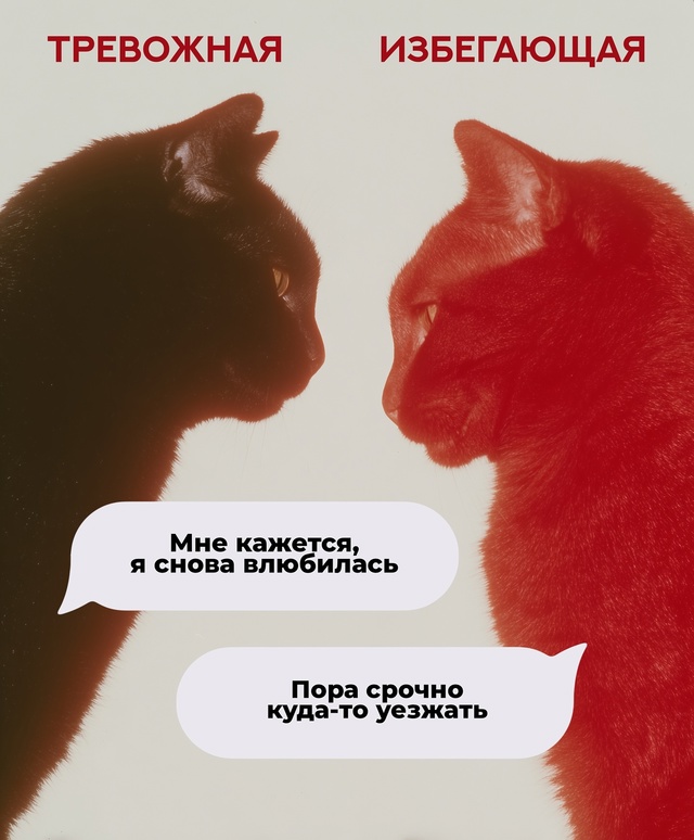 Проблемы в отношениях часто возникают из-за непрорабо?...