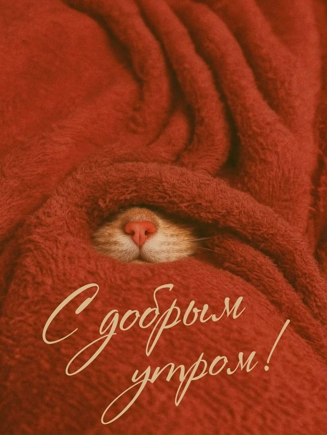 Доброе утро, Подслушано!