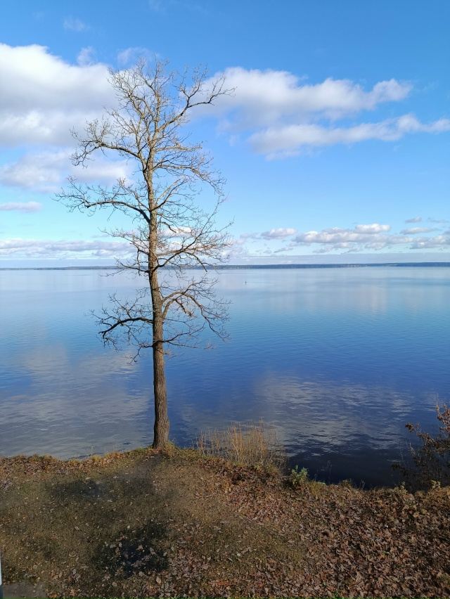 Чкаловск, 30. 10 25. Пановский сад и у ДК.