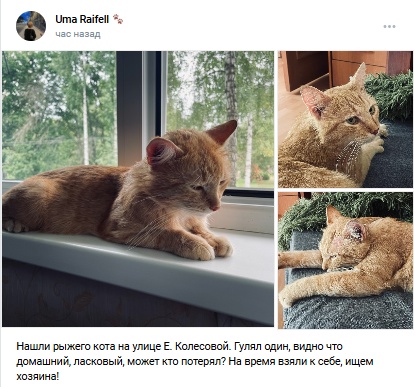 Пост добра. Распространите, пожалуйста.