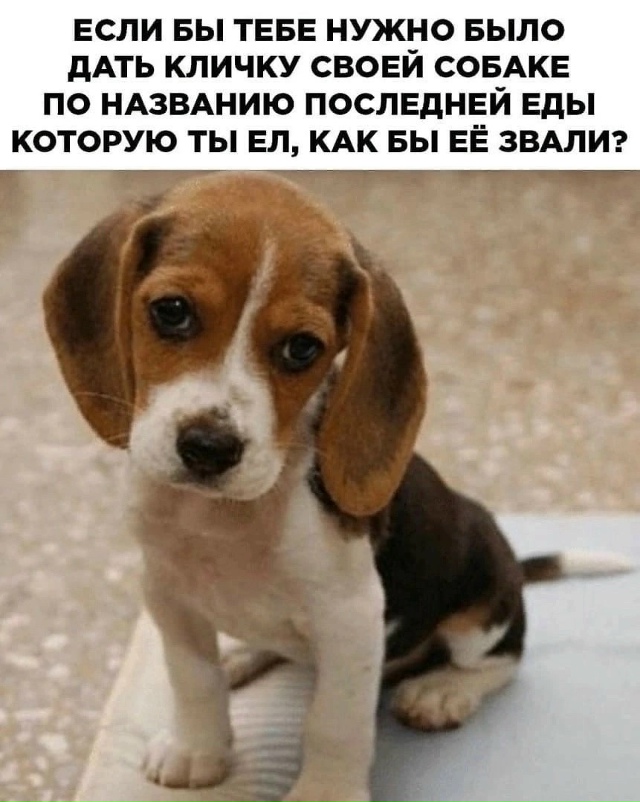 Вечерний интерактив 😊