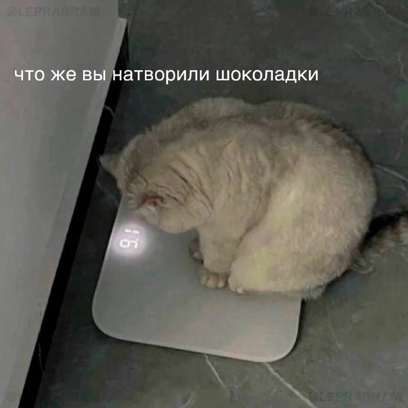 Сегодня отмечается День нарушения новогодних обещаний
Сегодня можно всё, не благодарите 👍