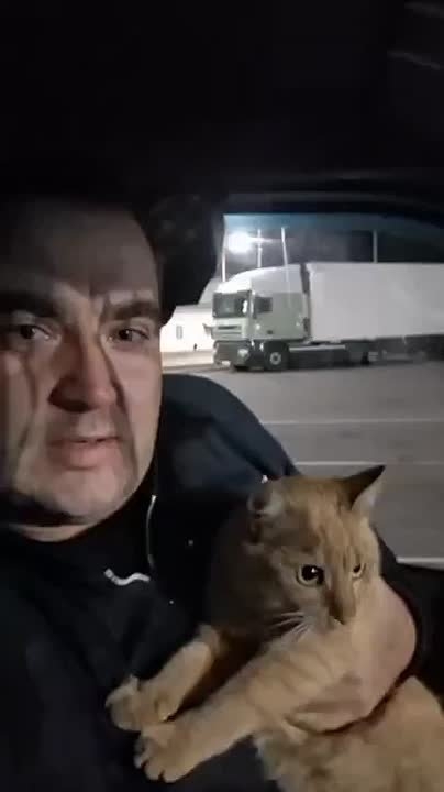 Россиянин развёлся с женой ради поисков любимого кота,...