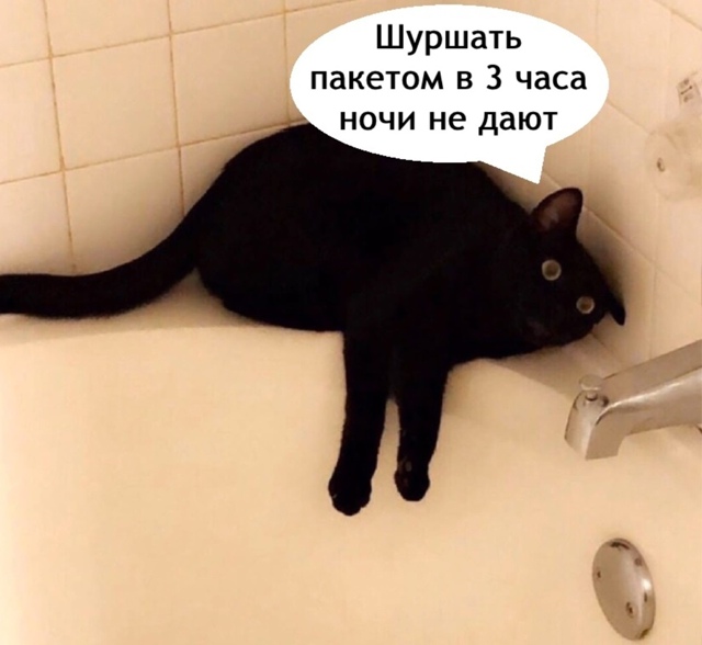 Жаль этого добряка конечно