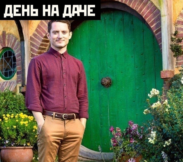 Дачники тут?